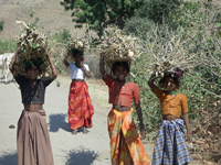 Girls carrying wood
